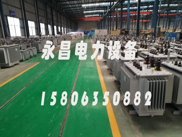 河池S22-1600KVA变压器